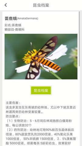 见虫app
