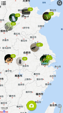 见虫app