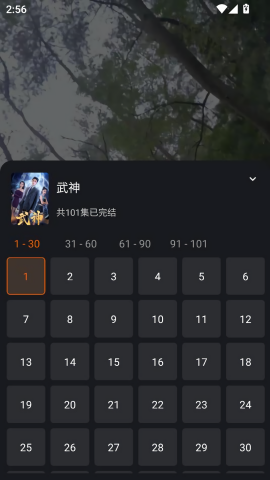 白鹿短剧