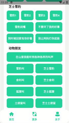 丁真盒