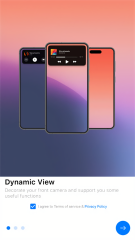 Dynamic View