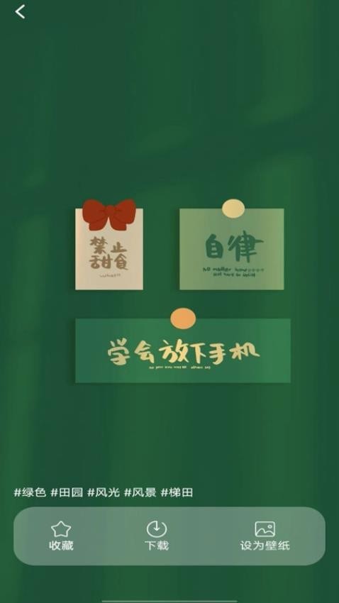 动态免费壁纸永久免费版