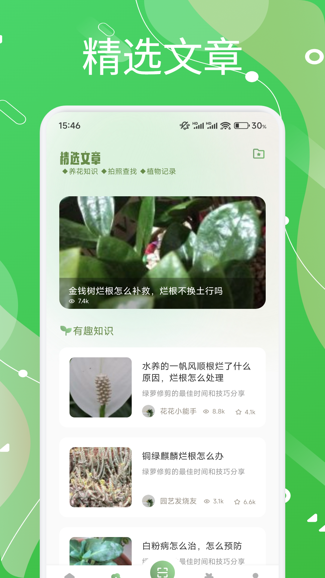 芙蓉花语