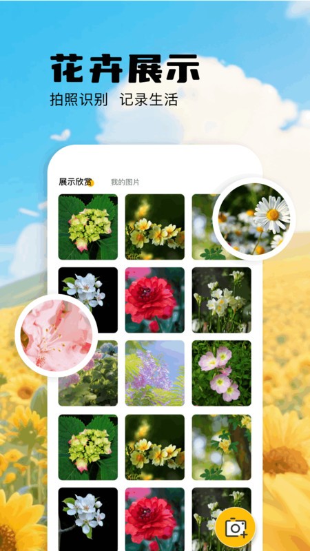 扫描识万物