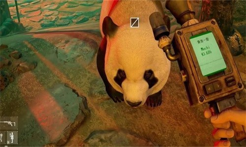 会说话的熊猫宝宝