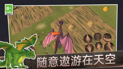 红龙模拟器