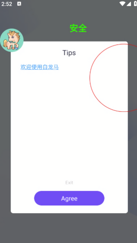 白龙马直装和平精英
