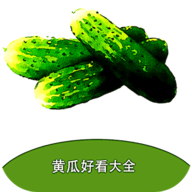 黄瓜阅读