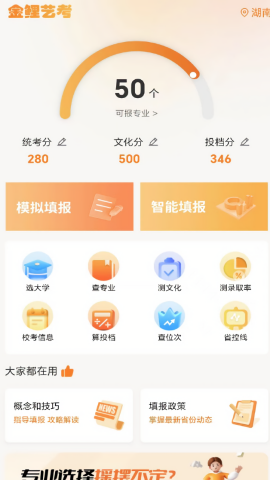 金鲤艺考