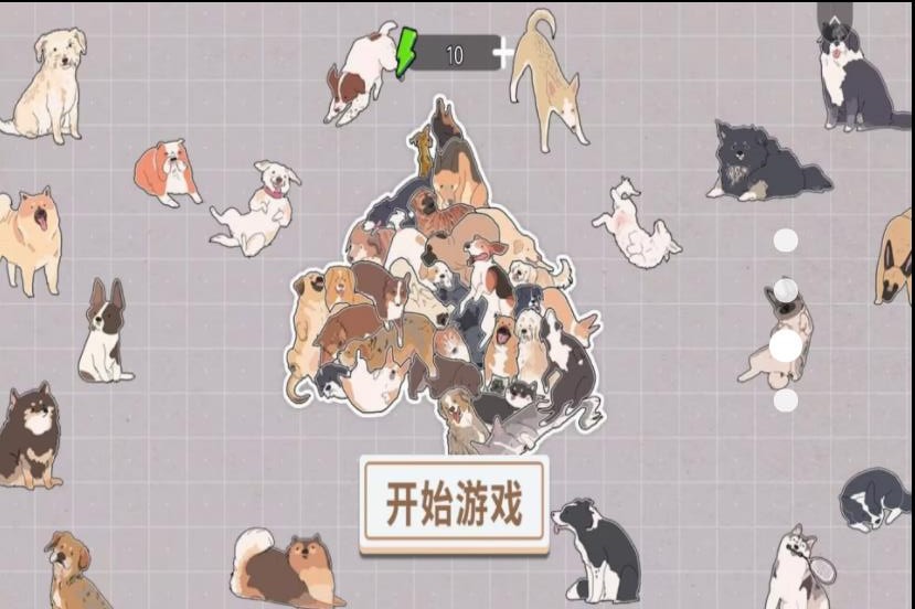 拼拼图