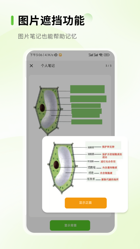 anymo记忆卡片APP