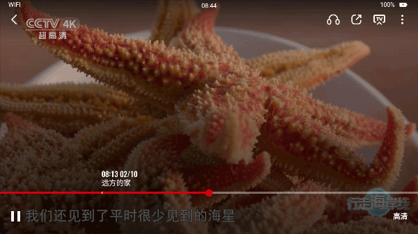 央视频tv版官方版