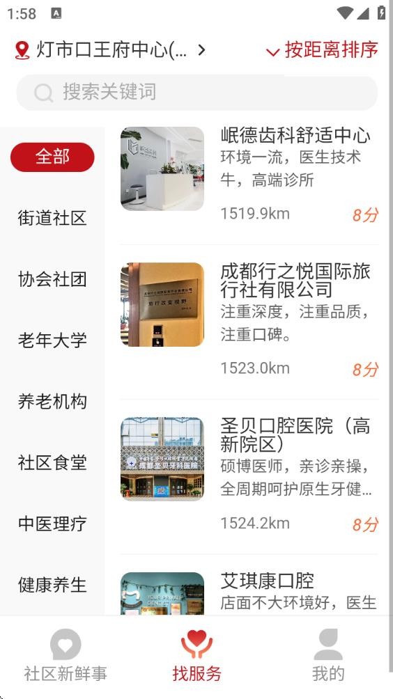 活力冬青