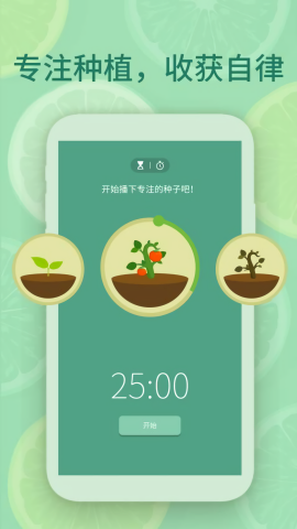 专注番茄