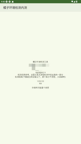 橘子环境检测工具2.9最新版