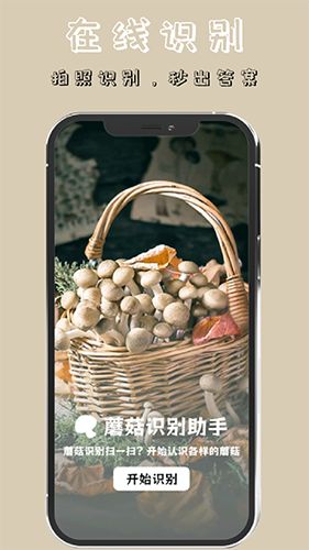 蘑菇识别