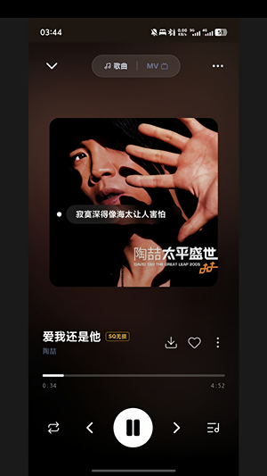 山猫音乐纯净版