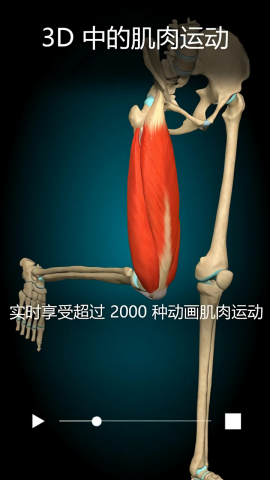 3D解剖学付费解锁版