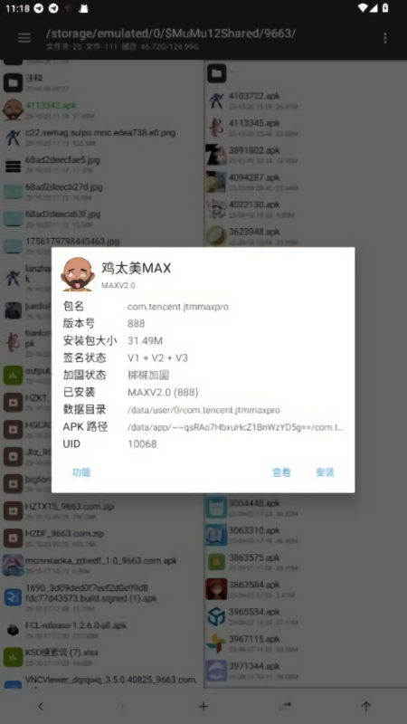 和平精英鸡太美MAX