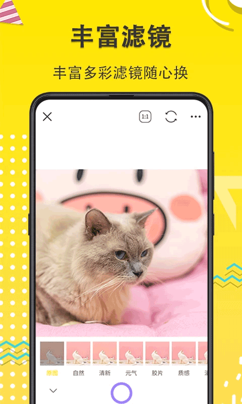 猫狗开心一刻