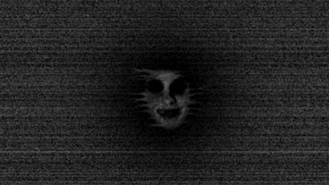 恐怖森林无广告版