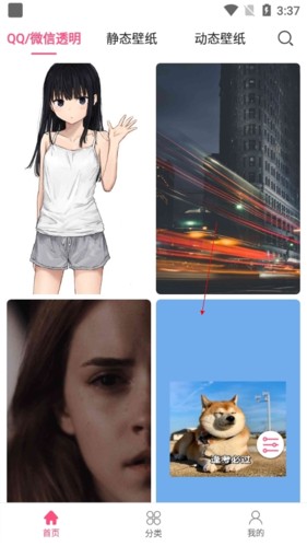 全局透明