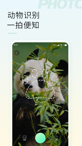 智能拍照识物软件