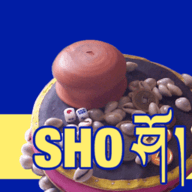 藏式骰子游戏sho安卓版