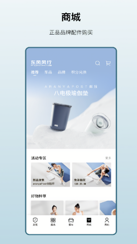 东风风行远程控制app