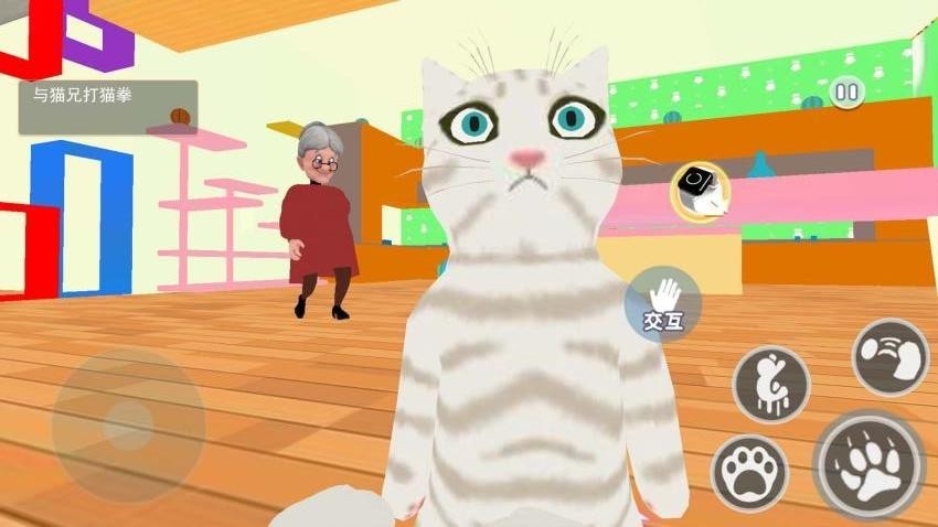 猫咪和奶奶