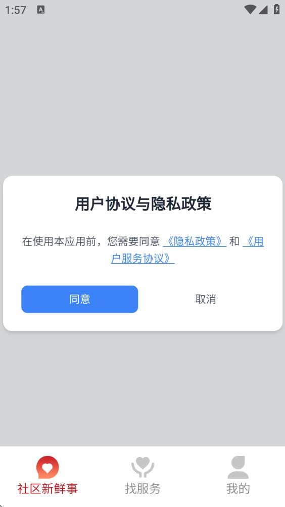 活力冬青