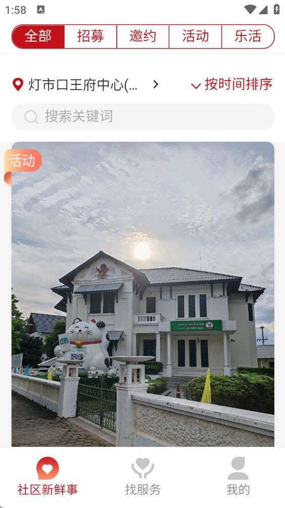 活力冬青