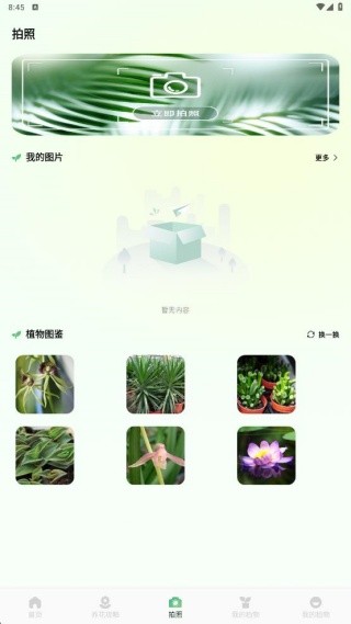 花札物语识别