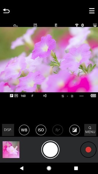 松下LUMIXSync