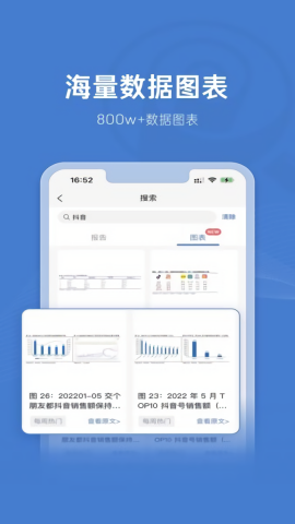 报告查一查