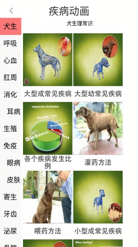 3dbody宠物版