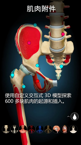 3D解剖学付费解锁版