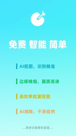 椰子设计