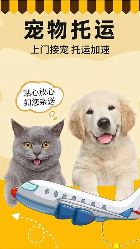 宠物托运顺风车