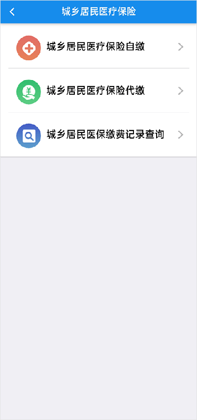 湖北城乡居民医保缴费app