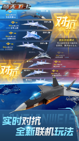 蓝天卫士