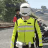 城市警车巡逻汉化版