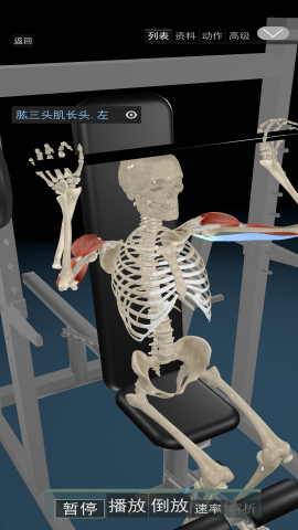 3D运动解剖软件