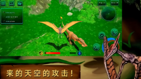 龙岛异兽