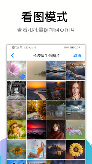 黑狮浏览器去广告版