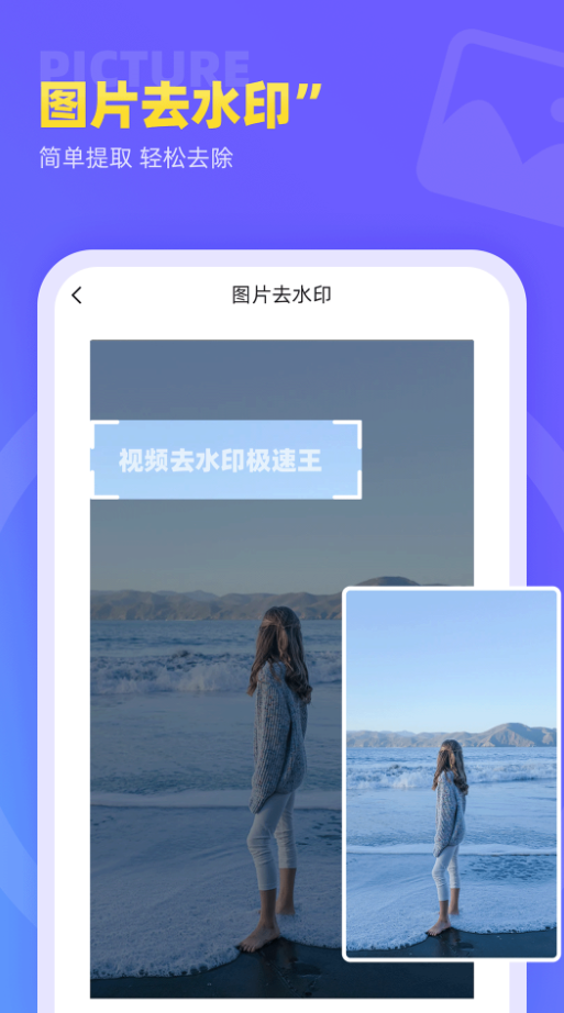 视频去水印极速王