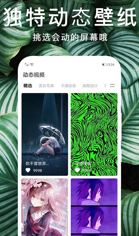 灵猫桌面壁纸