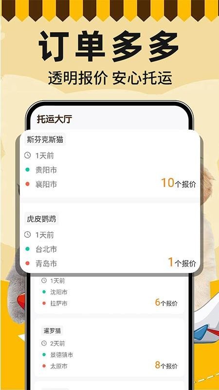 宠物托运顺风车