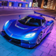 真正的汽车驾驶夜城mod版