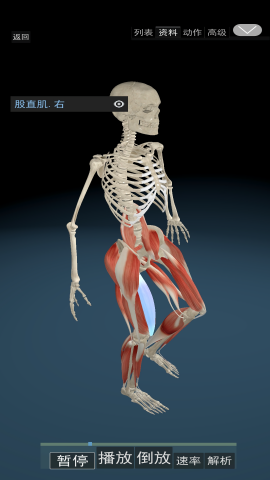 3D运动解剖软件